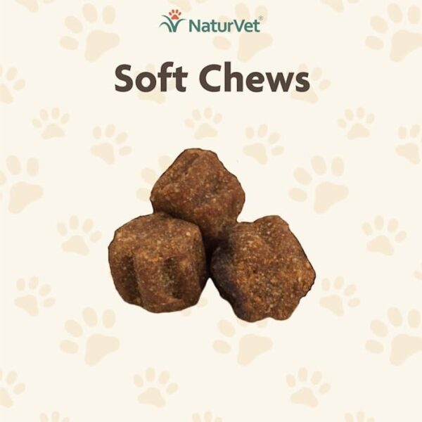 NaturVet Skin & Coat for Cats - Image 4