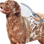 Waterpik Pet Wand Pro Dog Shower